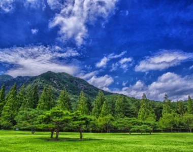 금오산 여름풍경